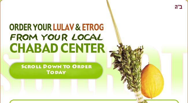 Order-Lulav3_02_en (1).jpg